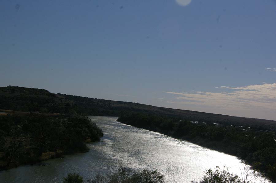 IMGP8323